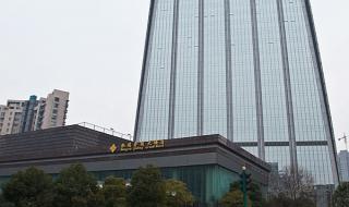 合肥高铁南站到天鹅湖大酒店怎么走 石家庄天鹅湖大酒店